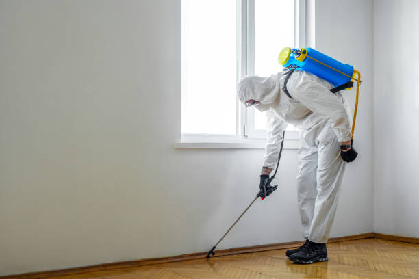 Best Flea Control Services  in Athens, TX